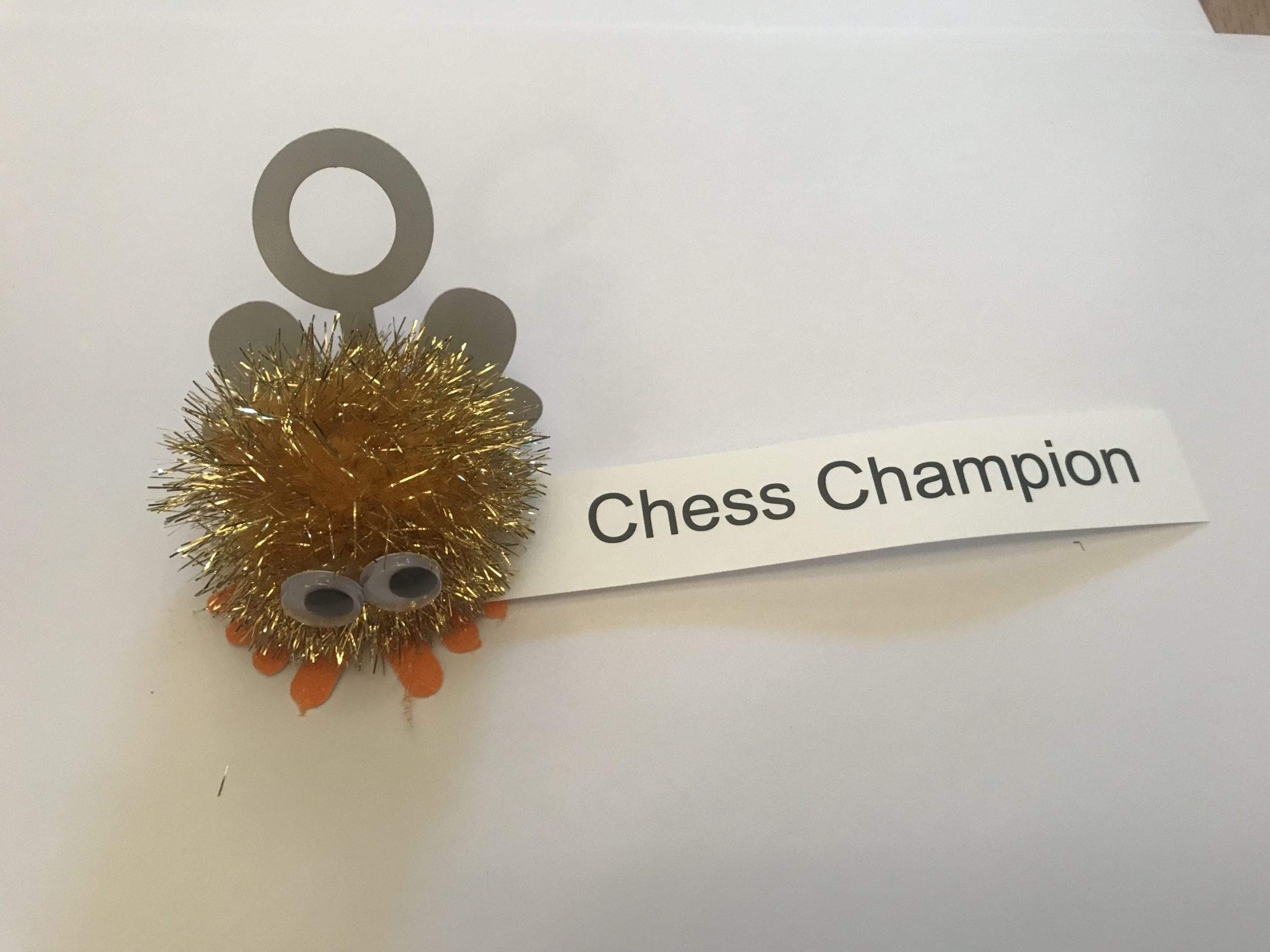 Megafinal 2018 Champion Pack - Image 4